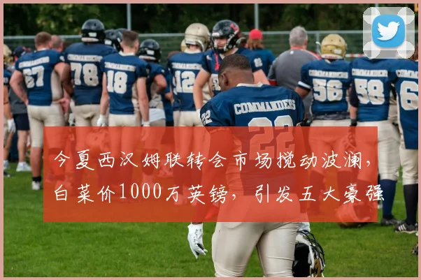 今夏西汉姆联转会市场搅动波澜，白菜价1000万英镑，引发五大豪强争抢_防守_比萨_英超