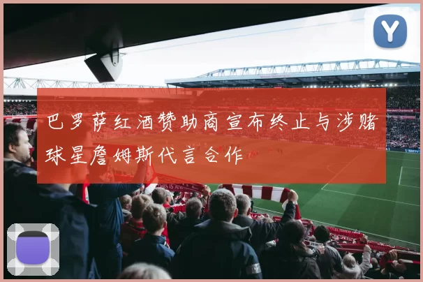 巴罗萨红酒赞助商宣布终止与涉赌球星詹姆斯代言合作