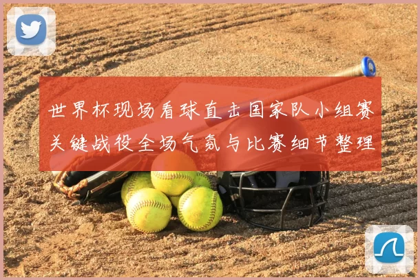 世界杯现场看球直击国家队小组赛关键战役全场气氛与比赛细节整理