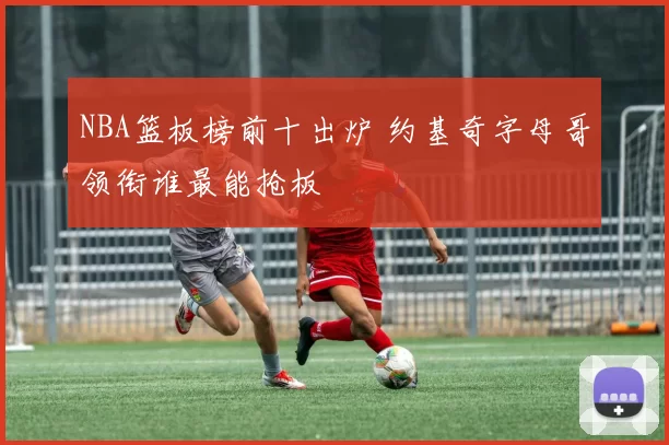 NBA篮板榜前十出炉 约基奇字母哥领衔谁最能抢板