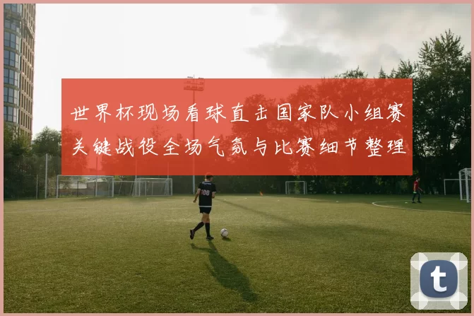 世界杯现场看球直击国家队小组赛关键战役全场气氛与比赛细节整理