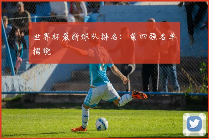 世界杯最新球队排名：前四强名单揭晓