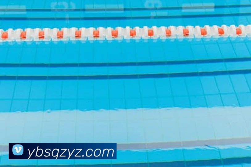 星空网官网首页入口平台生态图